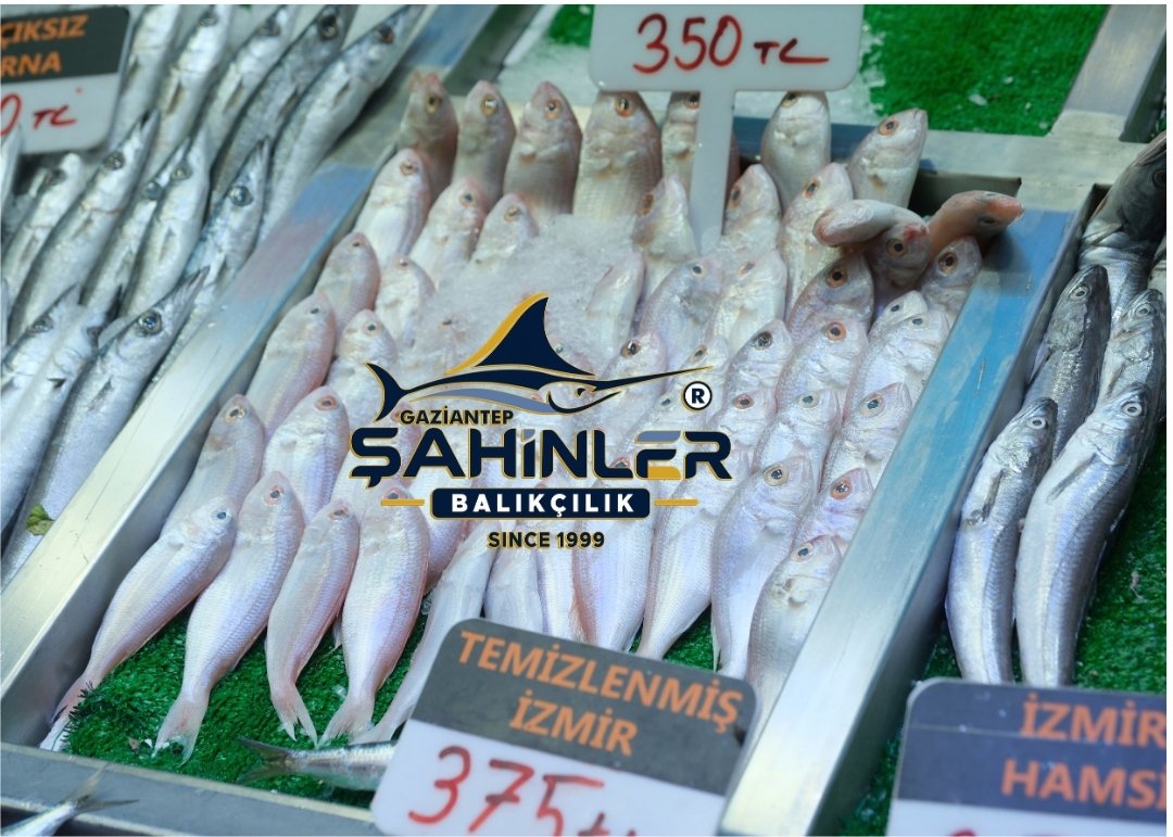 Gaziantep Balıkçılık