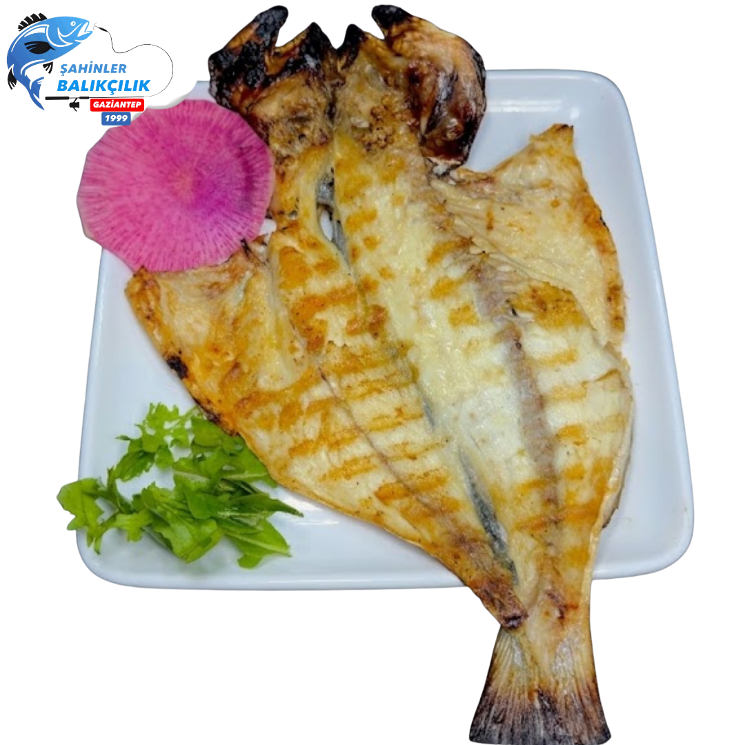 Çipura Balık