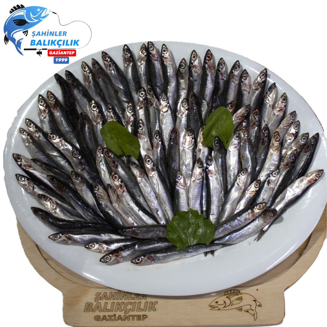 Karadeniz Hamsi Tava