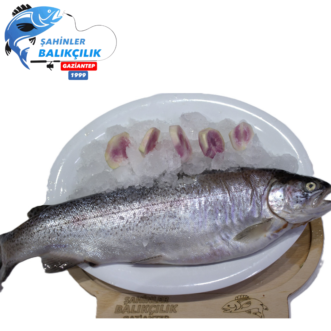 Karadeniz Somon Balığı