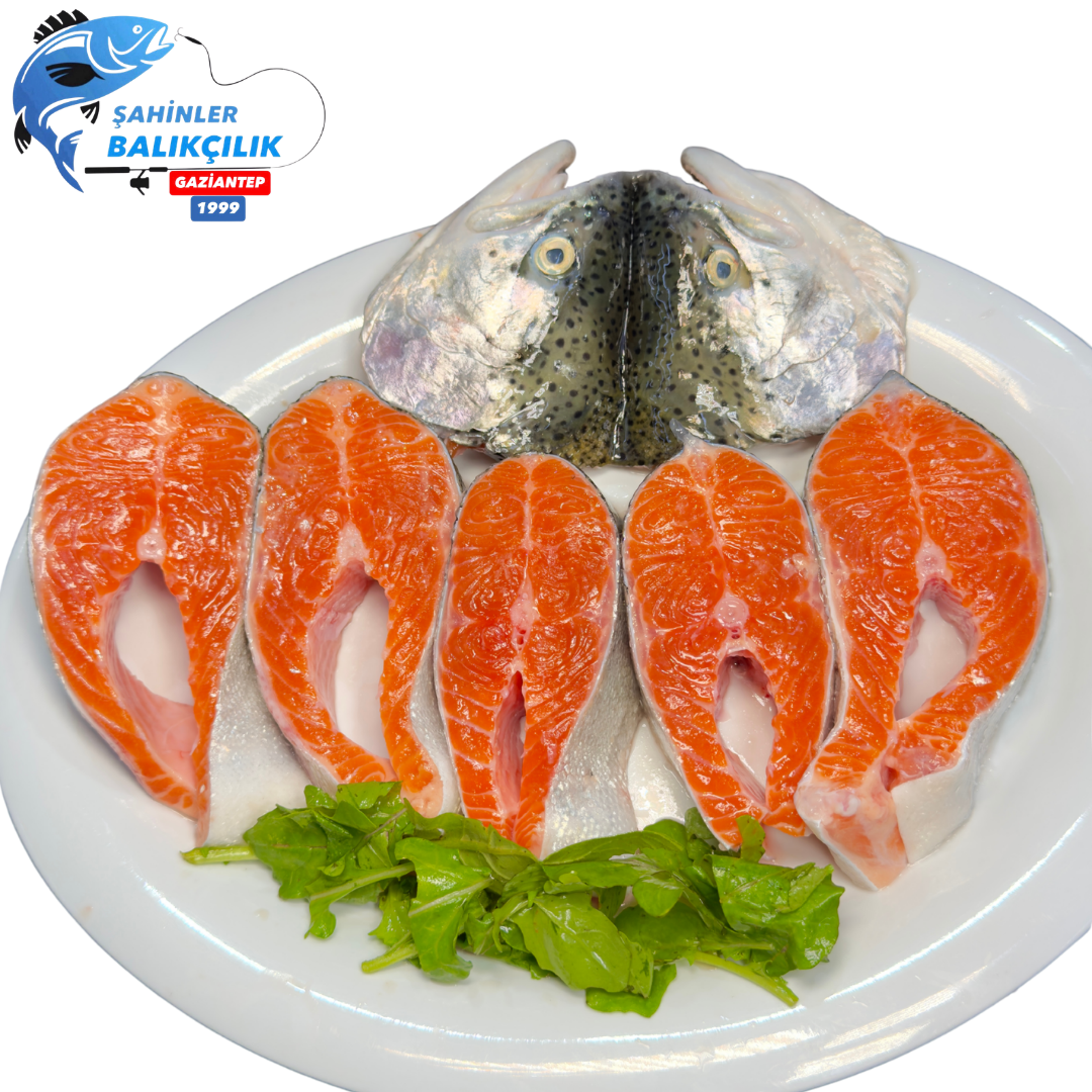 Norveç Somon Balığı