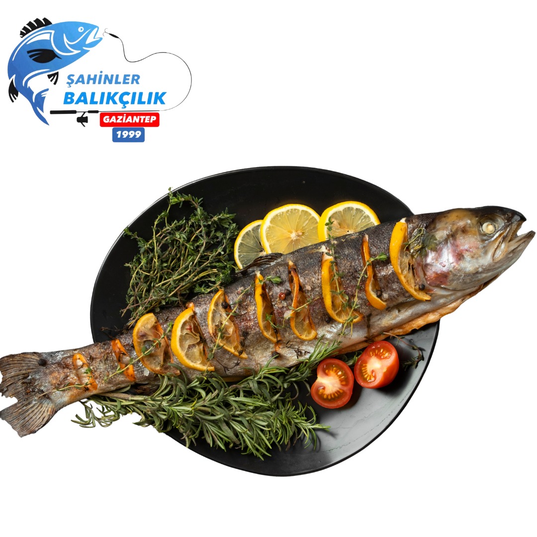 Karadeniz Somon Balığı