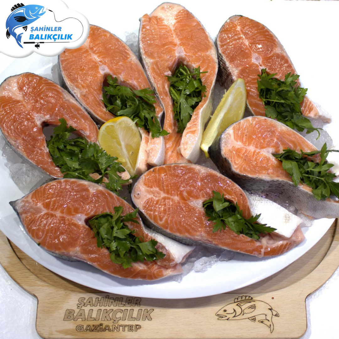 Dilim Somon Balığı