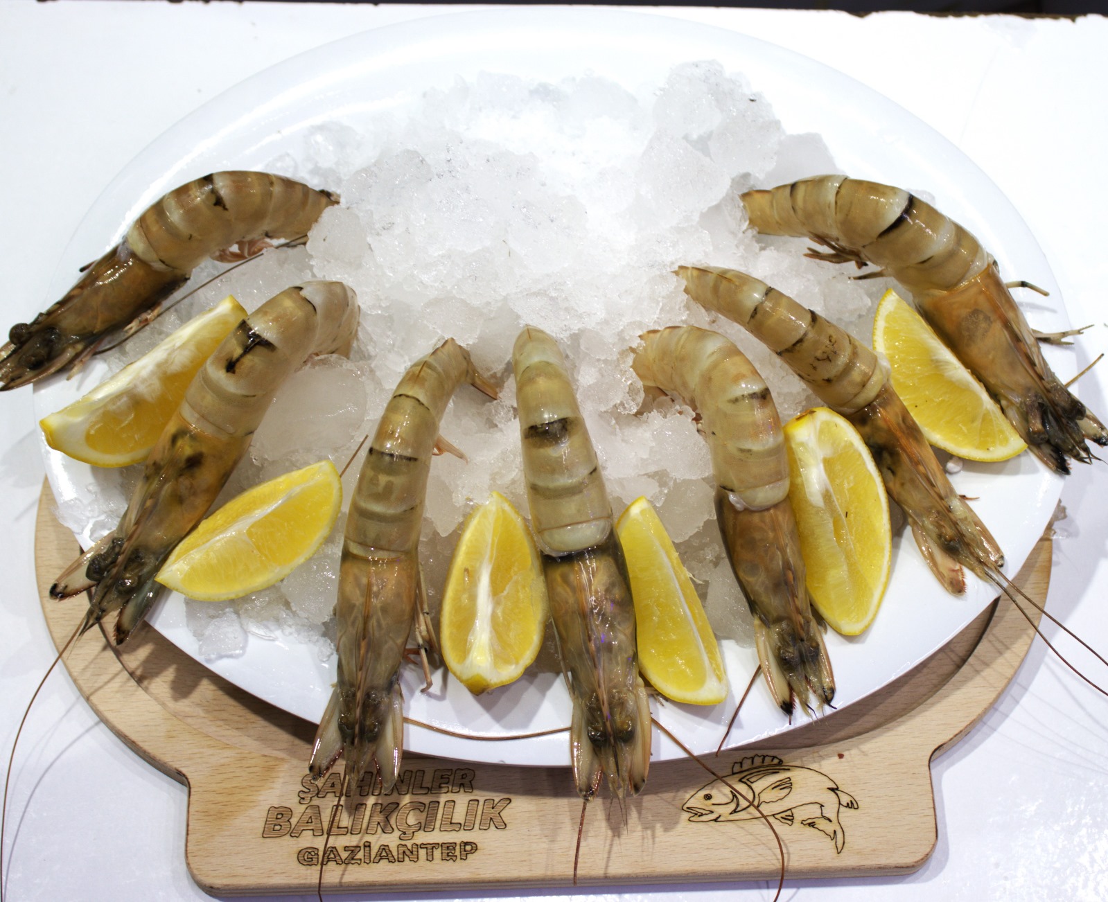 JUMBO KARİDES