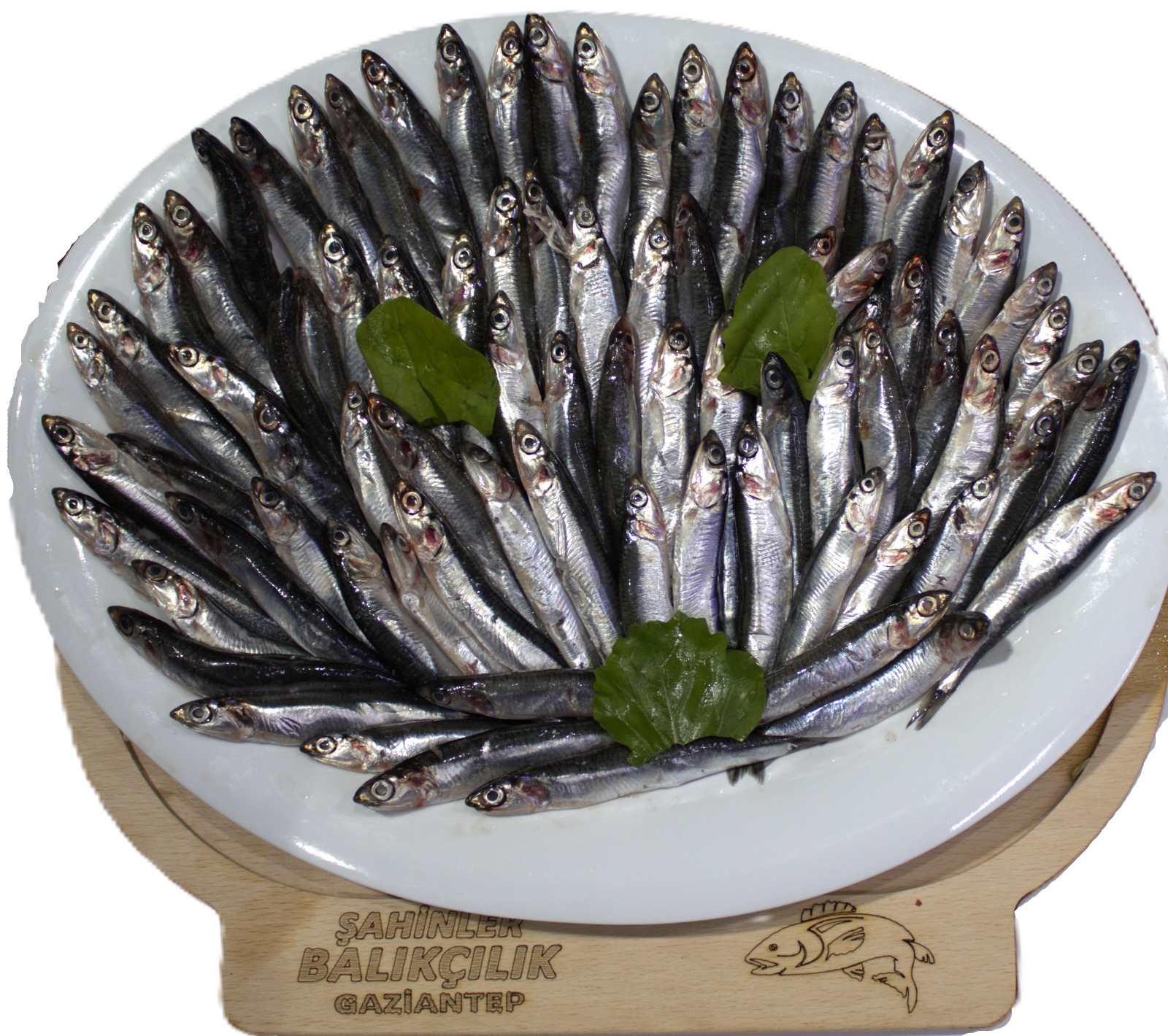 KARADENİZ HAMSİ